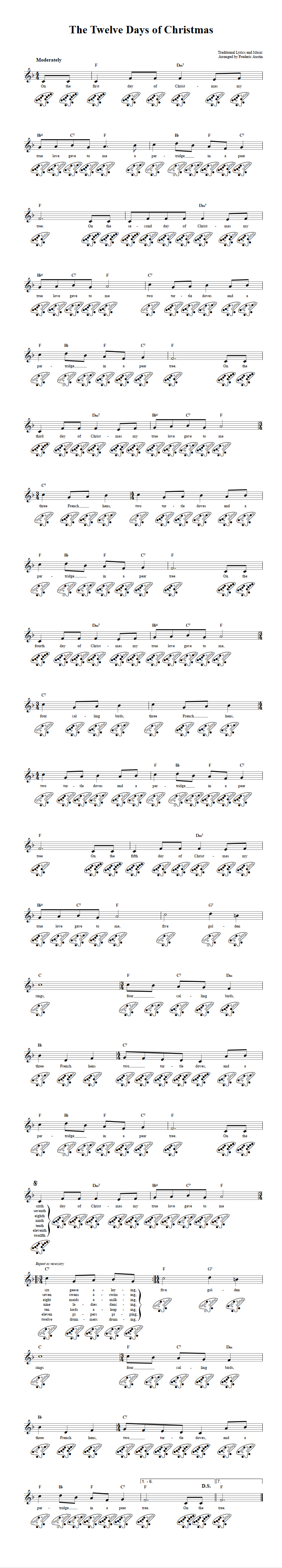 Irish Folk Tunes For 12-hole Ocarina - Collector's Edition Muziekboek Voor Traditionele Muziek