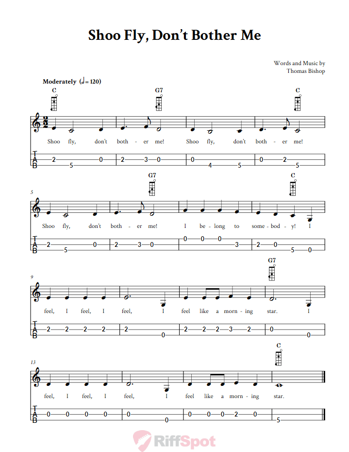 Shoo Fly, Don't Bother Me 3-String Cigar Box Guitar Tab