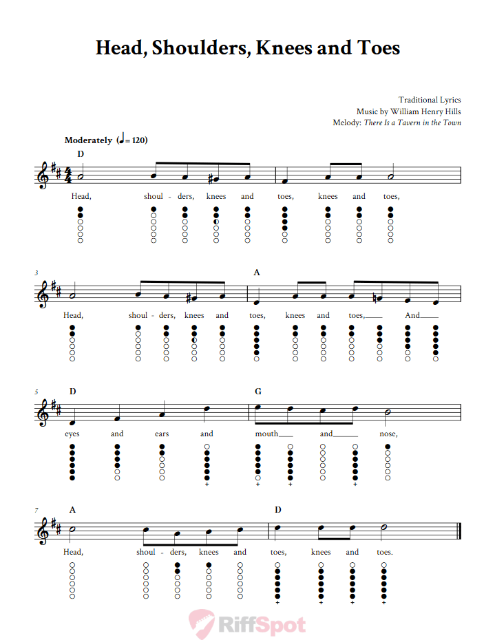 Head, Shoulders, Knees and Toes Tin Whistle Tab