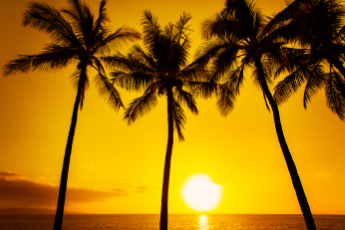 Hawaiian Sheet Music